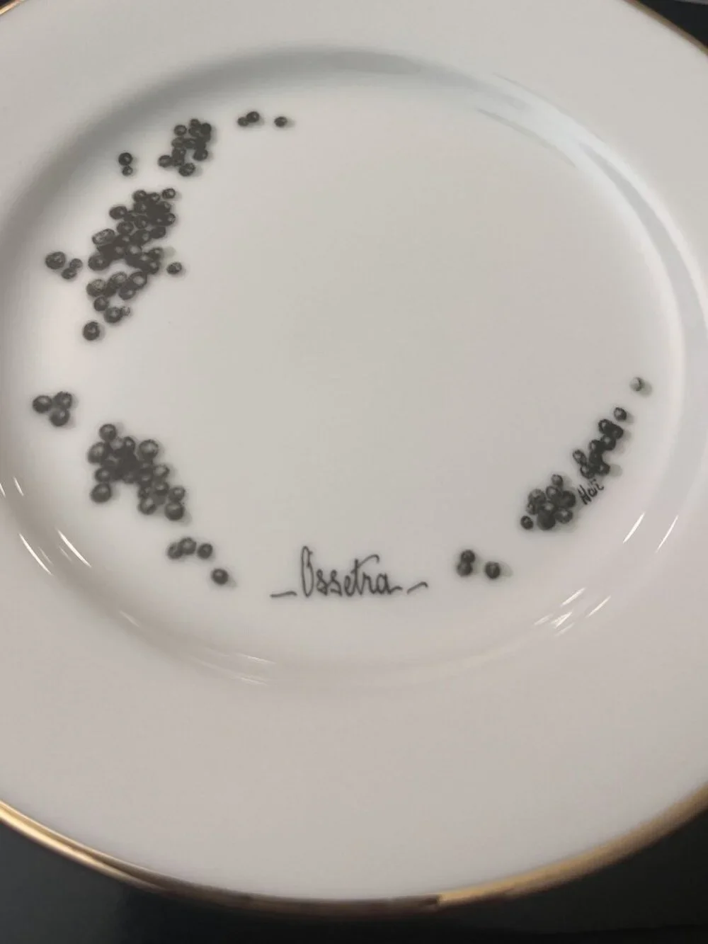 Williams Sonoma Caviar Plates 6-1/2